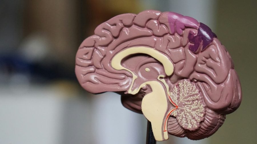 FotoJet - 2025-12-06T123843.085