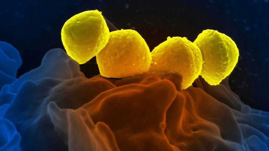 FotoJet - 2025-12-06T124536.118 (1)