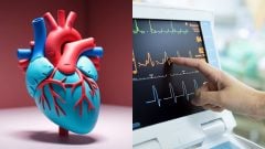 Vedci konečne zistili, prečo sa po očkovaní proti covidu objavoval zápal srdca. Nová štúdia mení pohľad na myokarditídu