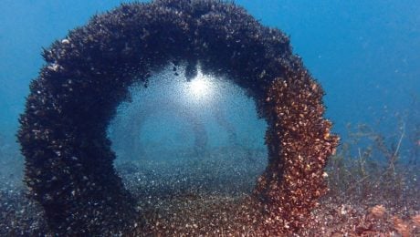 lastúrniky v Ženevskom jazere