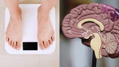 Vedci odhalili skryté riziká. Chýbajúca živina a obezita zrýchľujú starnutie mozgu