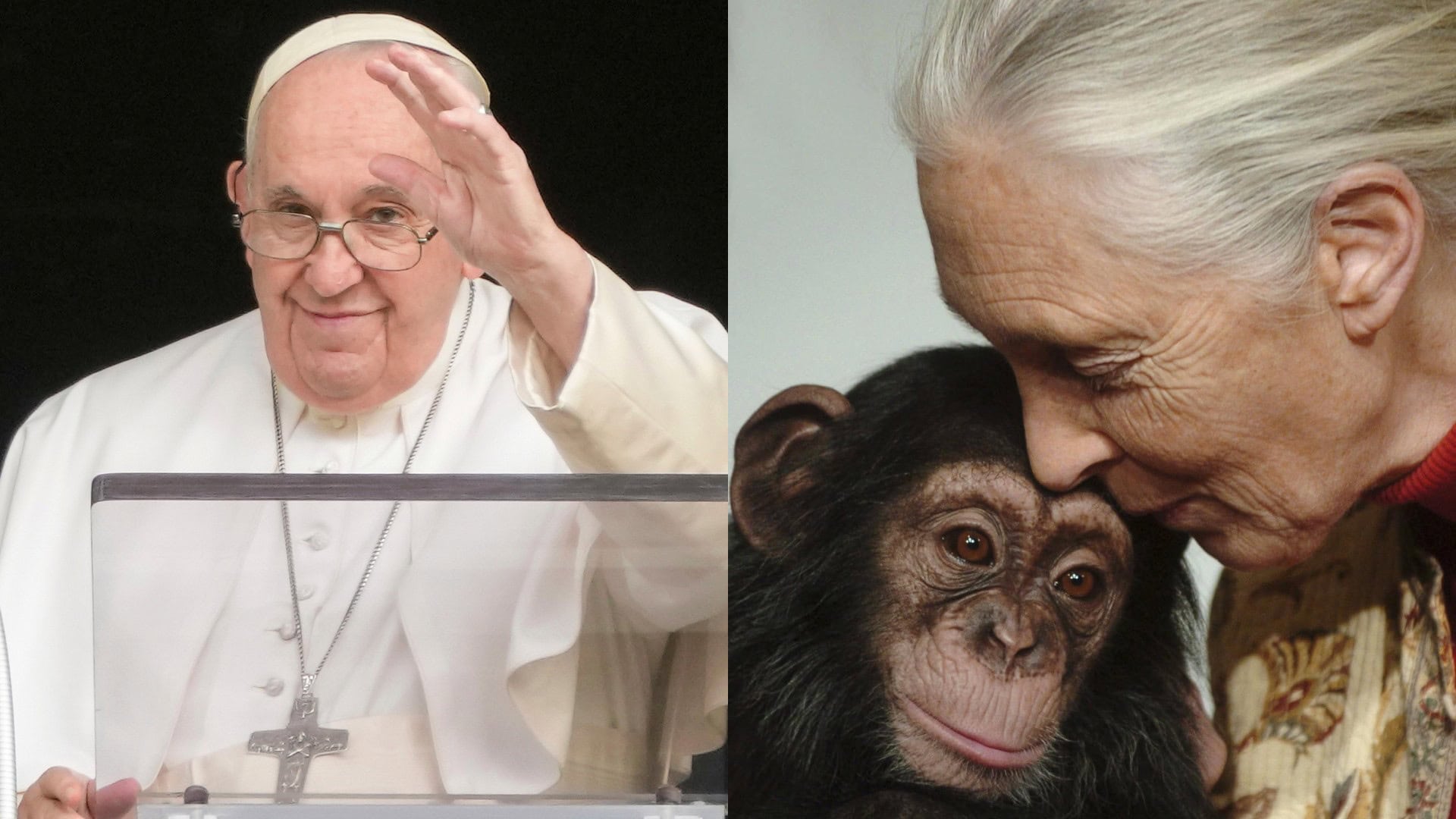 Pápež František a Jane Godall