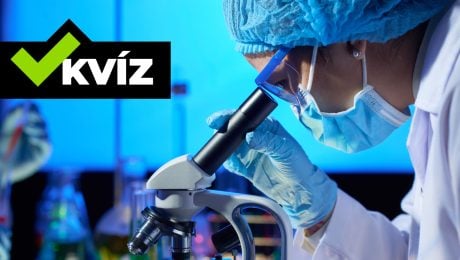 9 z 10 Slovákov nevie, koľko zubov má dospelý človek. Otestuj sa, či by si dostal jednotku z biológie aj teraz (KVÍZ)