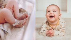 REBRÍČEK: Toto sú