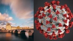 Vírus identifikovali vo Francúzsku