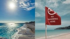 Tragédia v obľúbenej