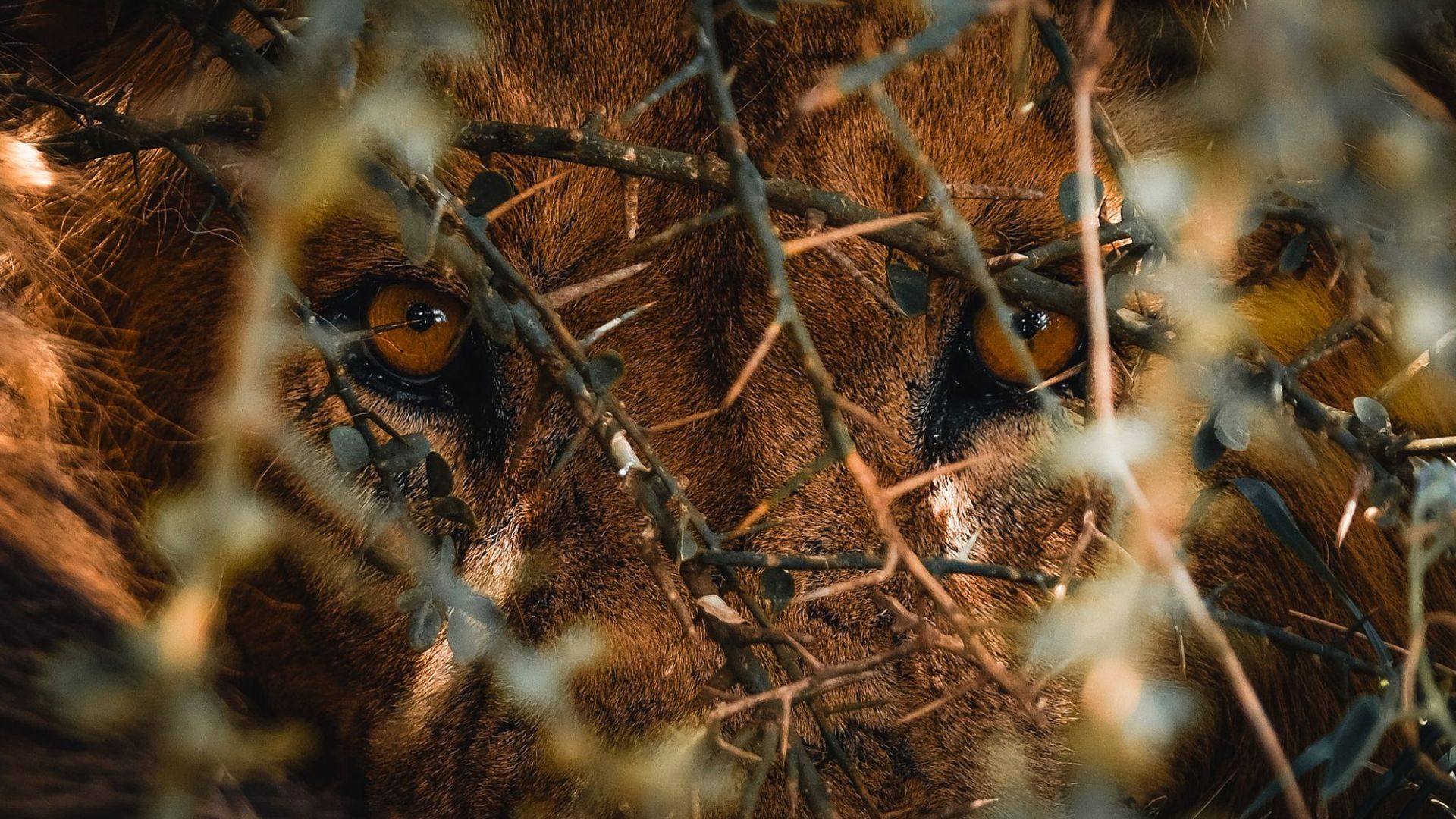 Michal precestoval kus sveta, ale skromne hovorí, že je len na začiatku