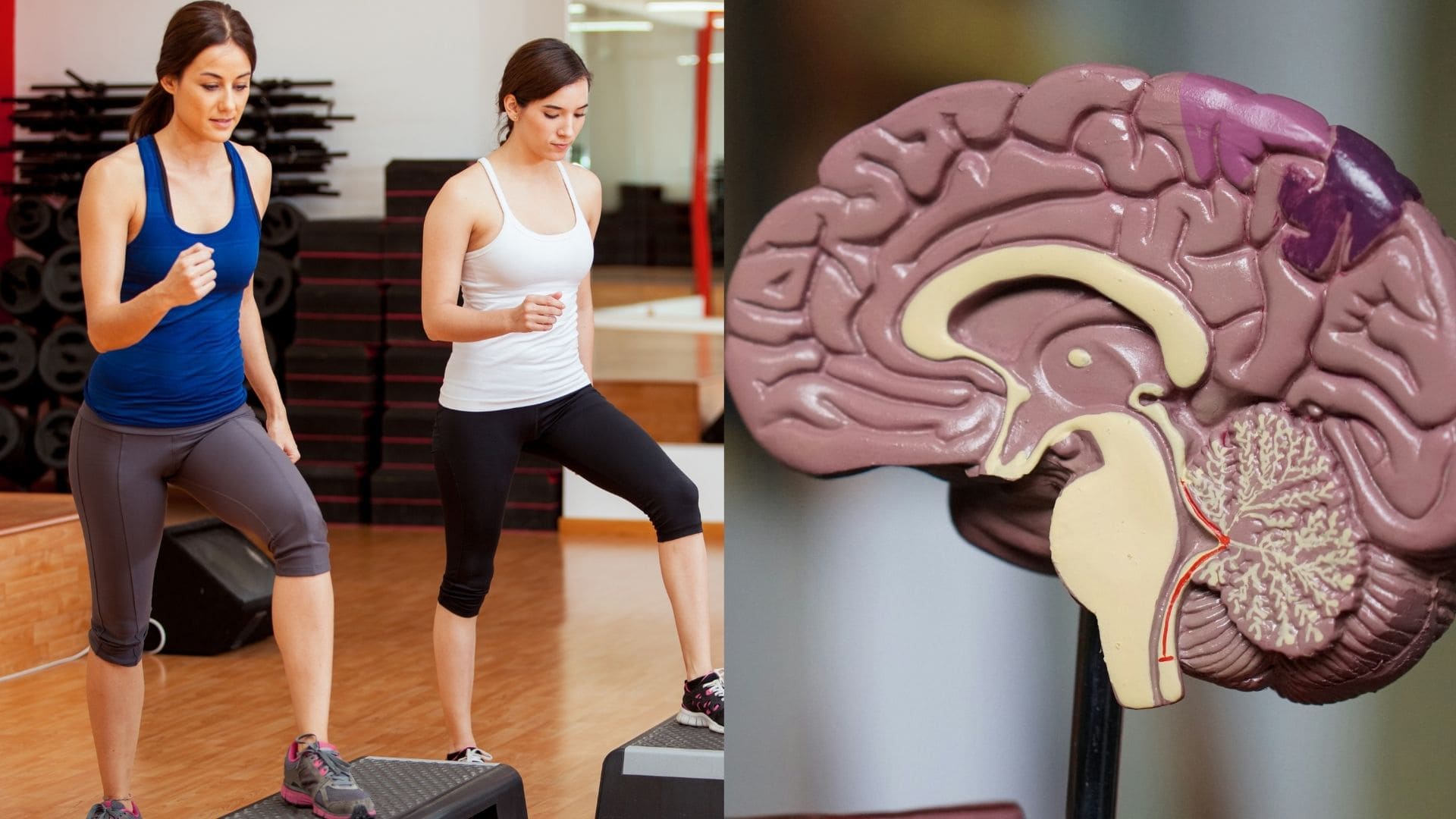 aerobik a jeho vplyv na mozog