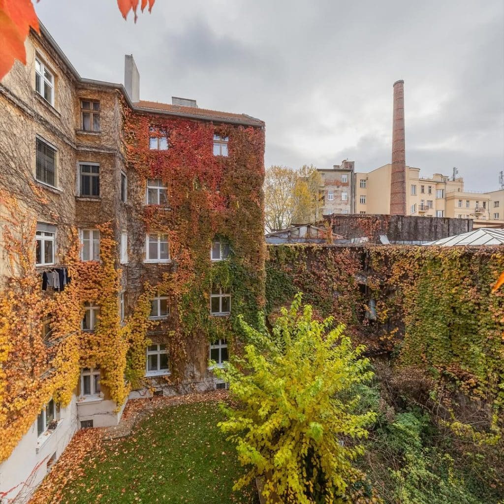 SnapInsta.to_581323112_17866441377491719_221340153012984655_n