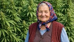 Vedci vynašli liečbu na Alzheimerovu chorobu: Za pozitívnymi účinkami je zakázaná látka