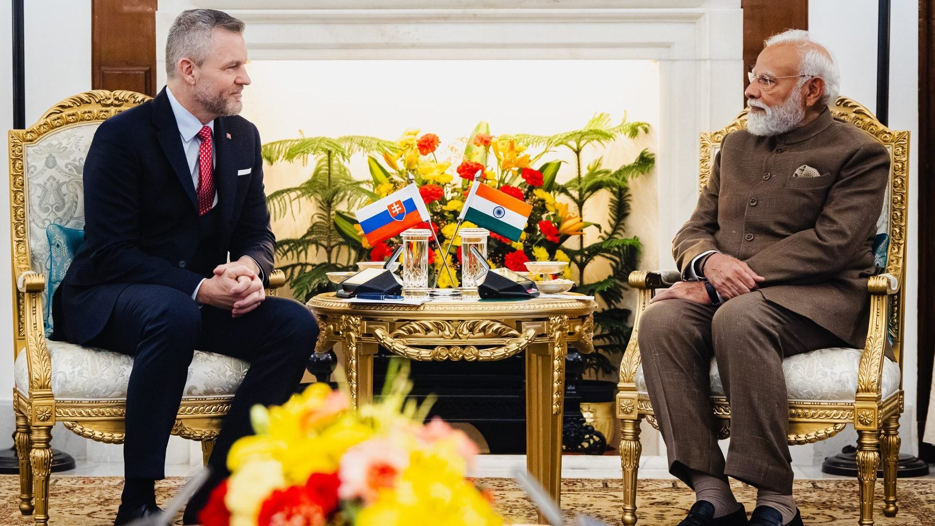 55106116540_cae708603b_k