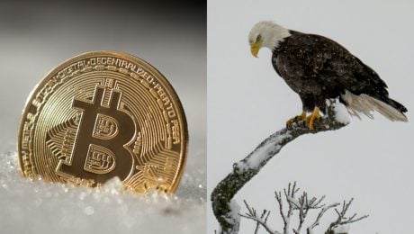 Bitcoin zažíva krutú zimu
