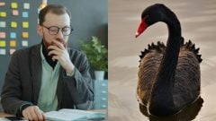 Ďalšia veľká ekonomická kríza je predo dvermi: Známy analytik predpovedá príchod čiernej labute