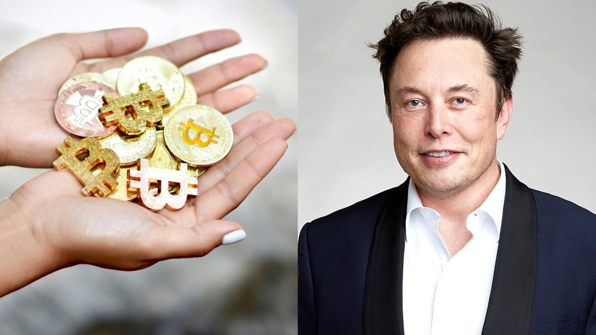 Elon Musk inovuje sieť X