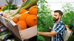 Skrytá hrozba na tanieri: Odborník odhaľuje, ako sa pri konzumácii ovocia a zeleniny vyhnúť pesticídom