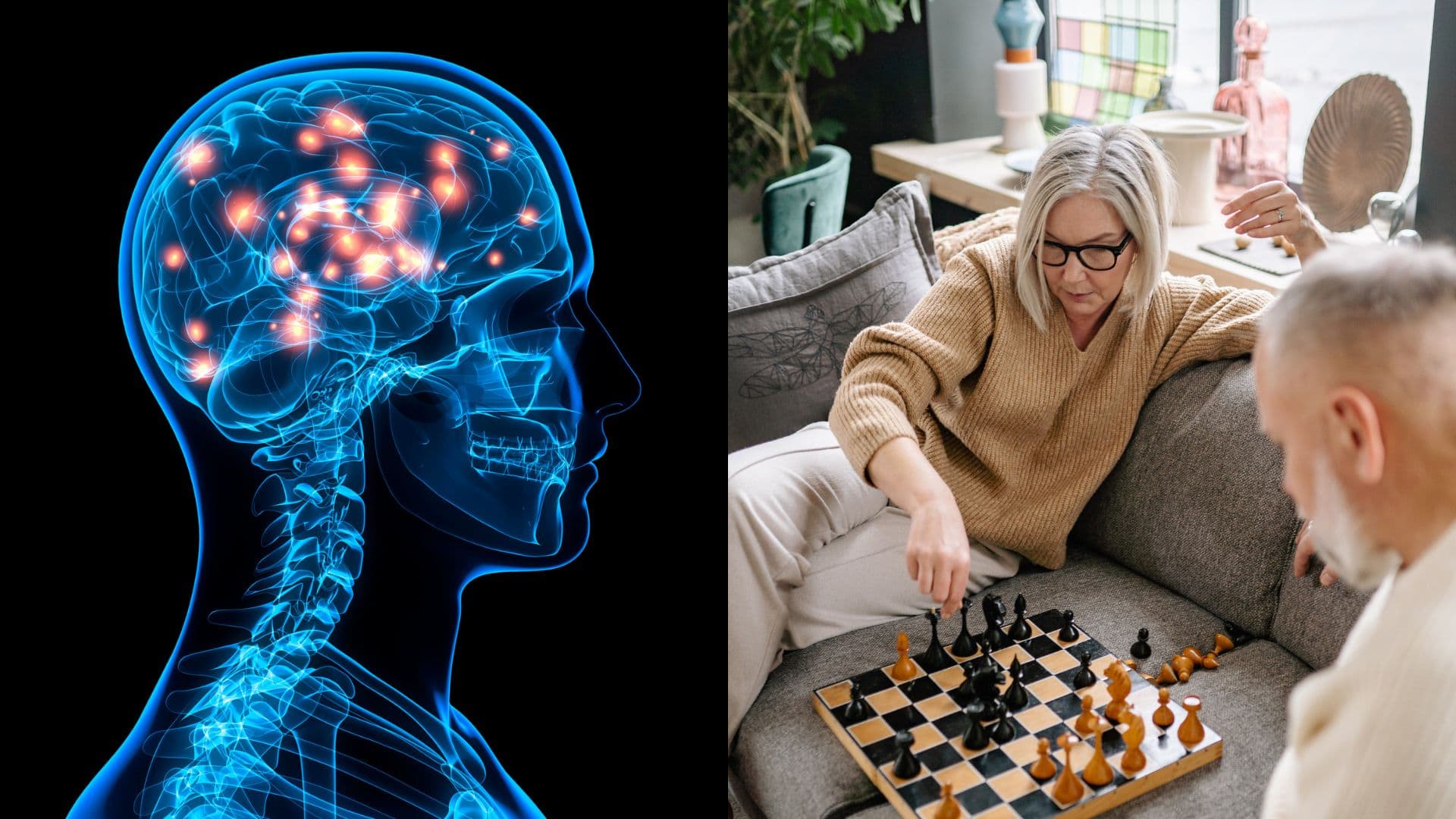 Vedci objavili proteín, ktorý v laboratóriu dokázal „omladiť“ mozog