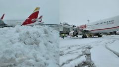 EXKLUZÍVNE pre Startitup: „Zapadli sme aj s kamiónmi,“ prezradil pracovník letiska. Schwechat paralyzoval sneh a lety stoja