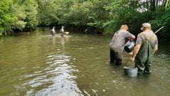 Z týchto vôd ryby nekonzumuj. Veterinári upozorňujú na kontamináciu a riziko rakoviny