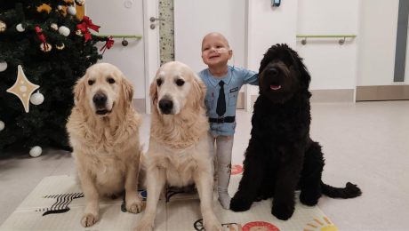 Archív/Canisterapia Slovensko