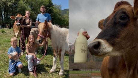 Slovenská farma valcuje Instagram: Má vyše 100-tisíc fanúšikov, no bojuje o prežitie