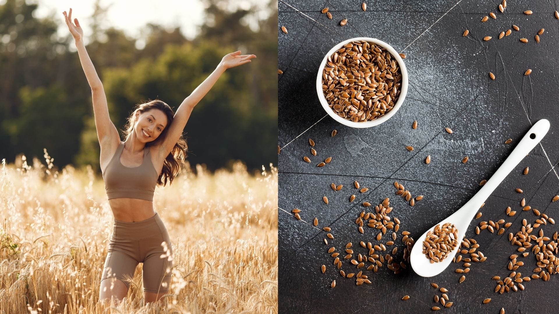 ľan, ľanové semienka