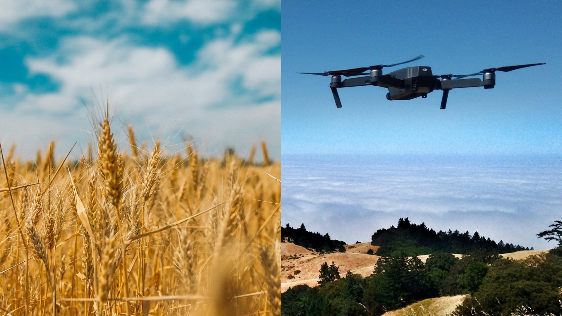 Ukrajina mení vojenské štandardy