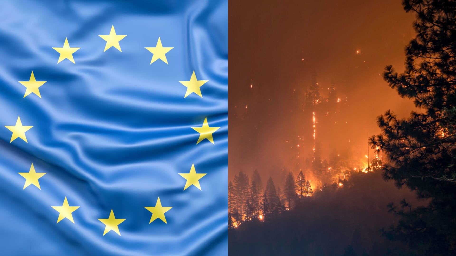 Európa, lesný požiar