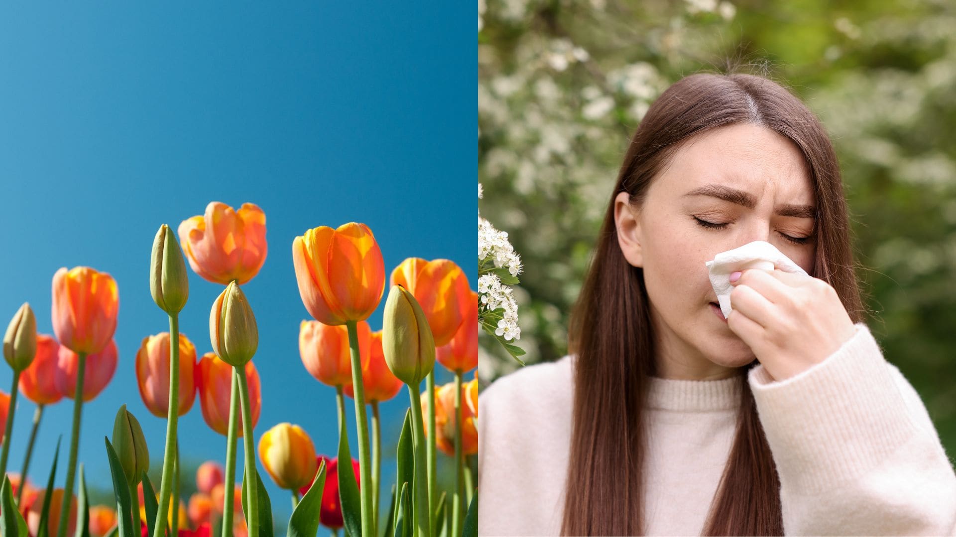 Európa zažíva teplotný paradox. Príroda sa prebúdza priskoro