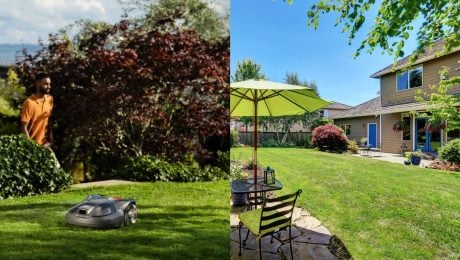 Majitelia domov robia