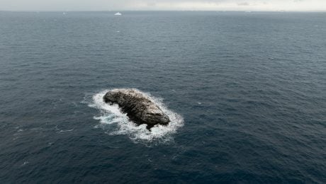 Ostrov vo Weddellovom mori