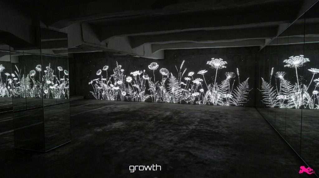 blekksprut1 (NO) – Growth