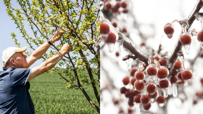 Počasie Slovensku nepraje: