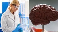 Neurovedkyňa radí 12 minútový trik na zlepšenie výkonu mozgu, otvorene hovorí: „Multitasking neexistuje“