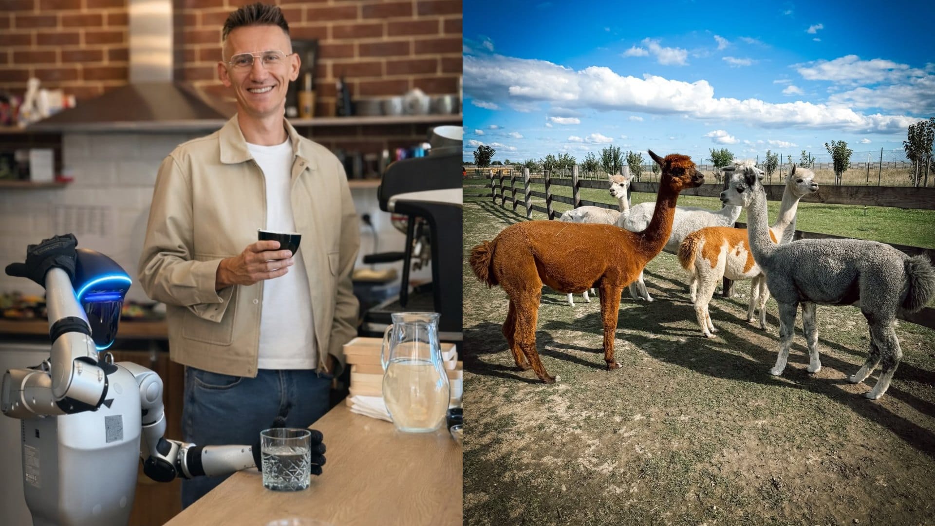 AlpacaFarm tábor