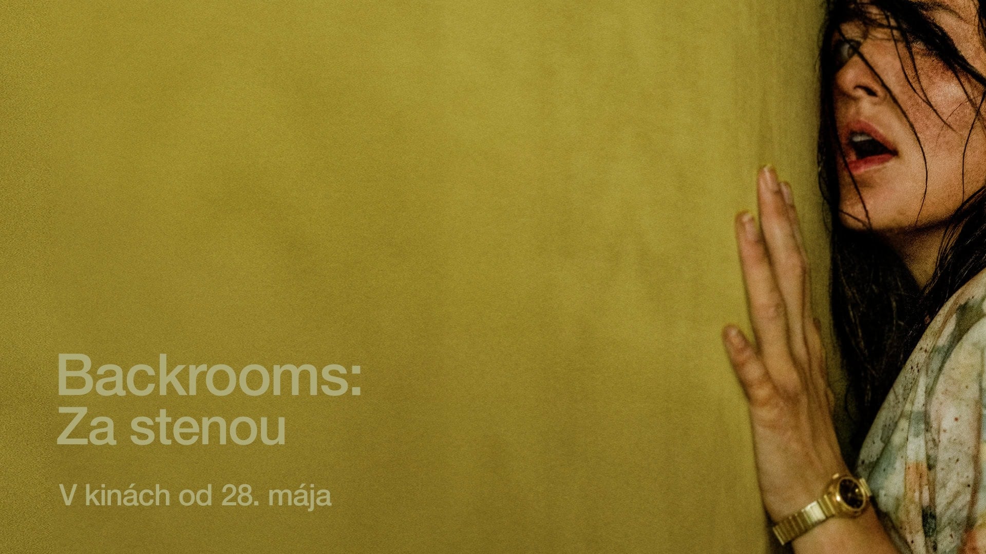 BACKROOMS_sirka_FF_1920x1080_SK (1)