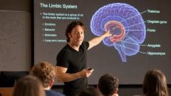 Neurovedec radí, ako si udržať zdravú a plastickú myseľ až do neskorej staroby. Vyvaruj sa konkrétnym zlozvykom