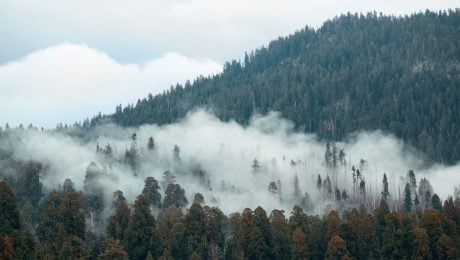 MIMORIADNE Veľký požiar na východe Slovenska: Plamene zasiahli les, zasahujú hasiči zo siedmich obcí