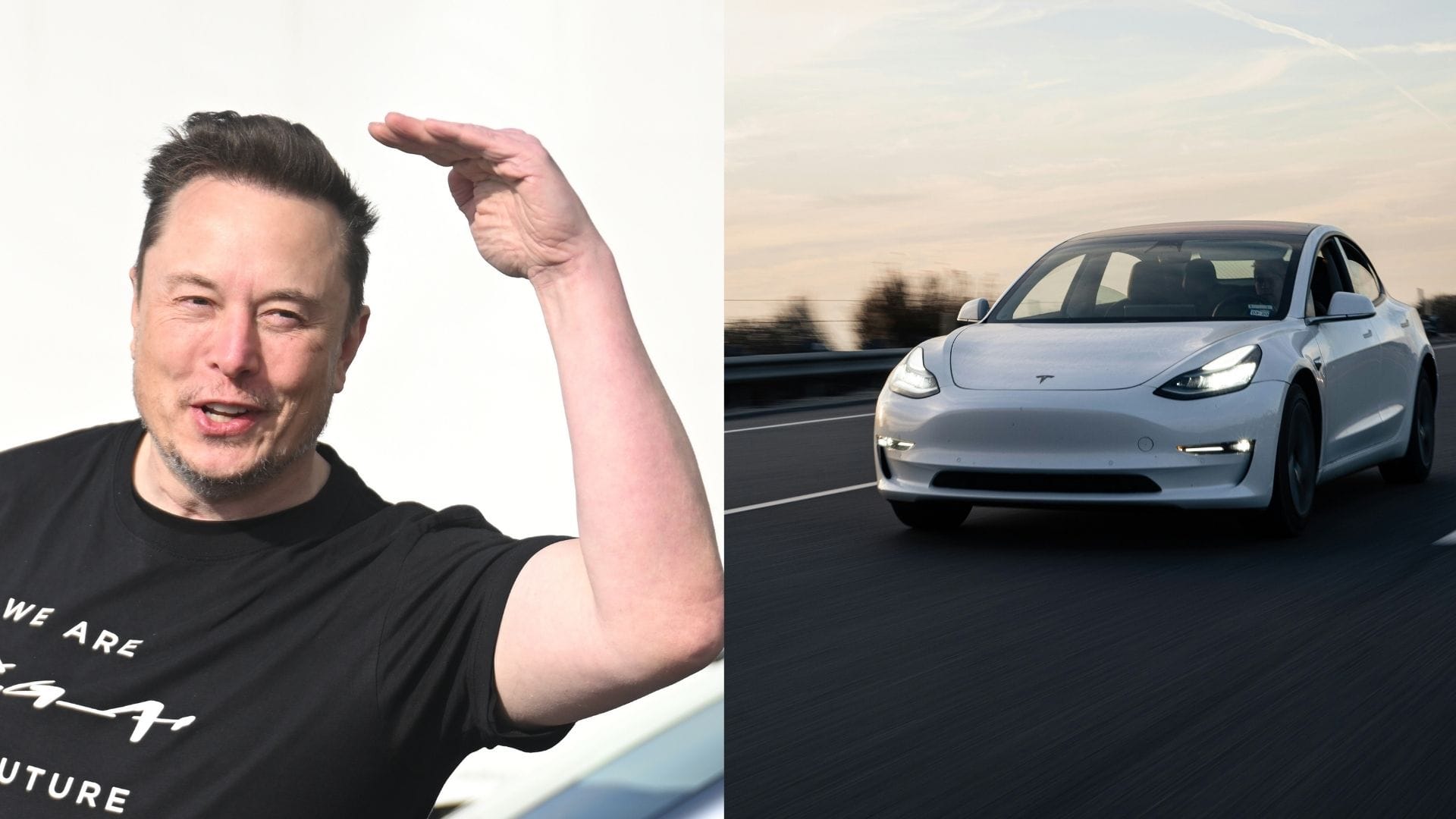 Elon Musk Tesla