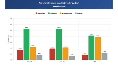 Ako vnímajú Slováci zušenie voľby poštou?