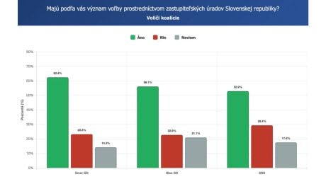Podporujú Slováci voľbou zo zahraničia prostredníctvom zastupiteľských úradov?