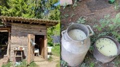MIMORIADNE: ŠVPS potvrdila salmonelu vo výrobkoch z Liptova. Viacerí ľudia skončili v nemocnici