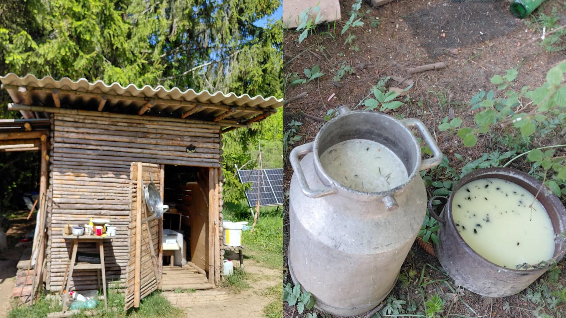 NELEGÁLNY 