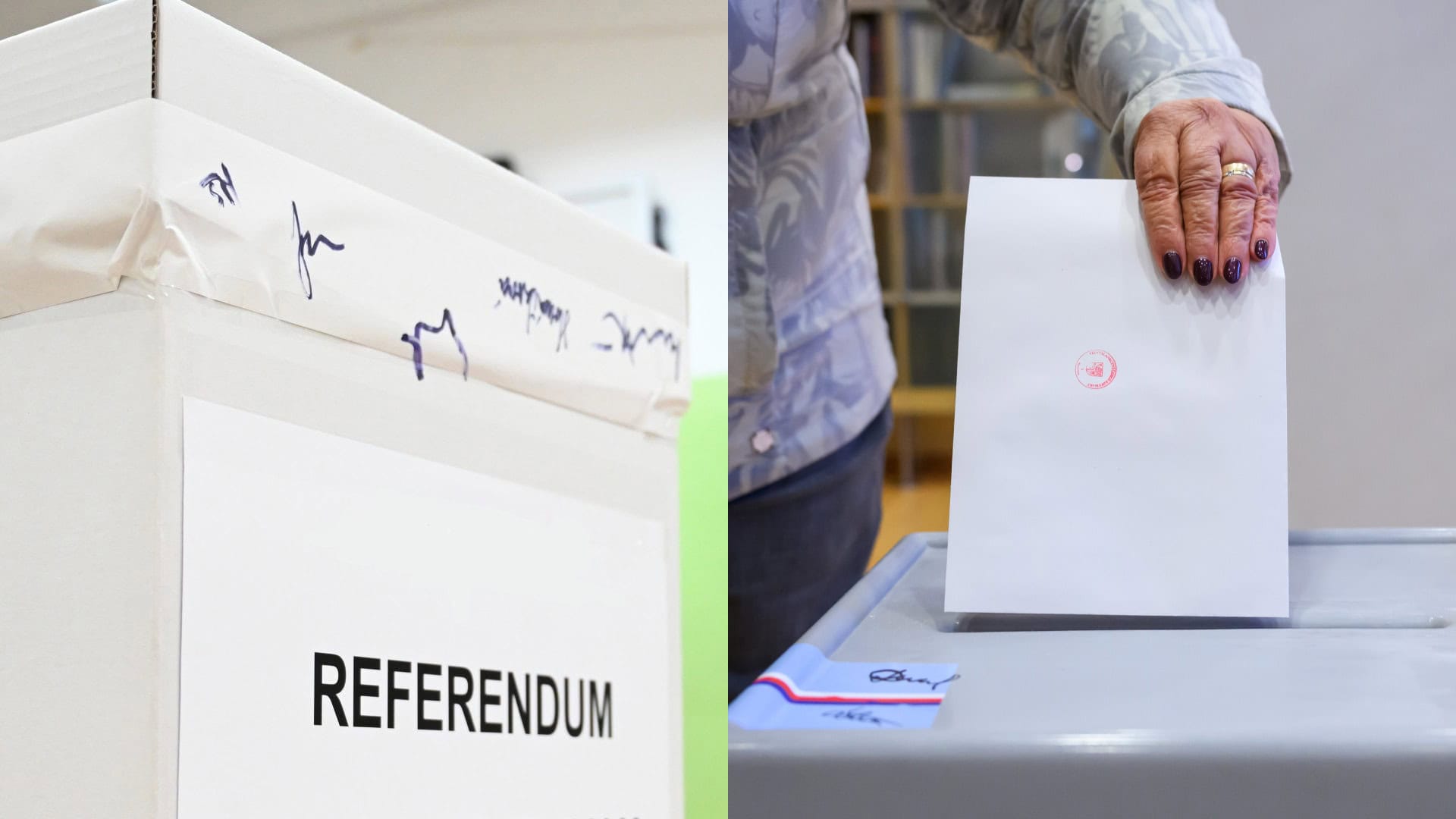 referendum