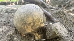 Nenápadný kopec pri Bratislave skrýval popravisko. Archeológovia odkryli miesto, ktorému sa ľudia vyhýbali