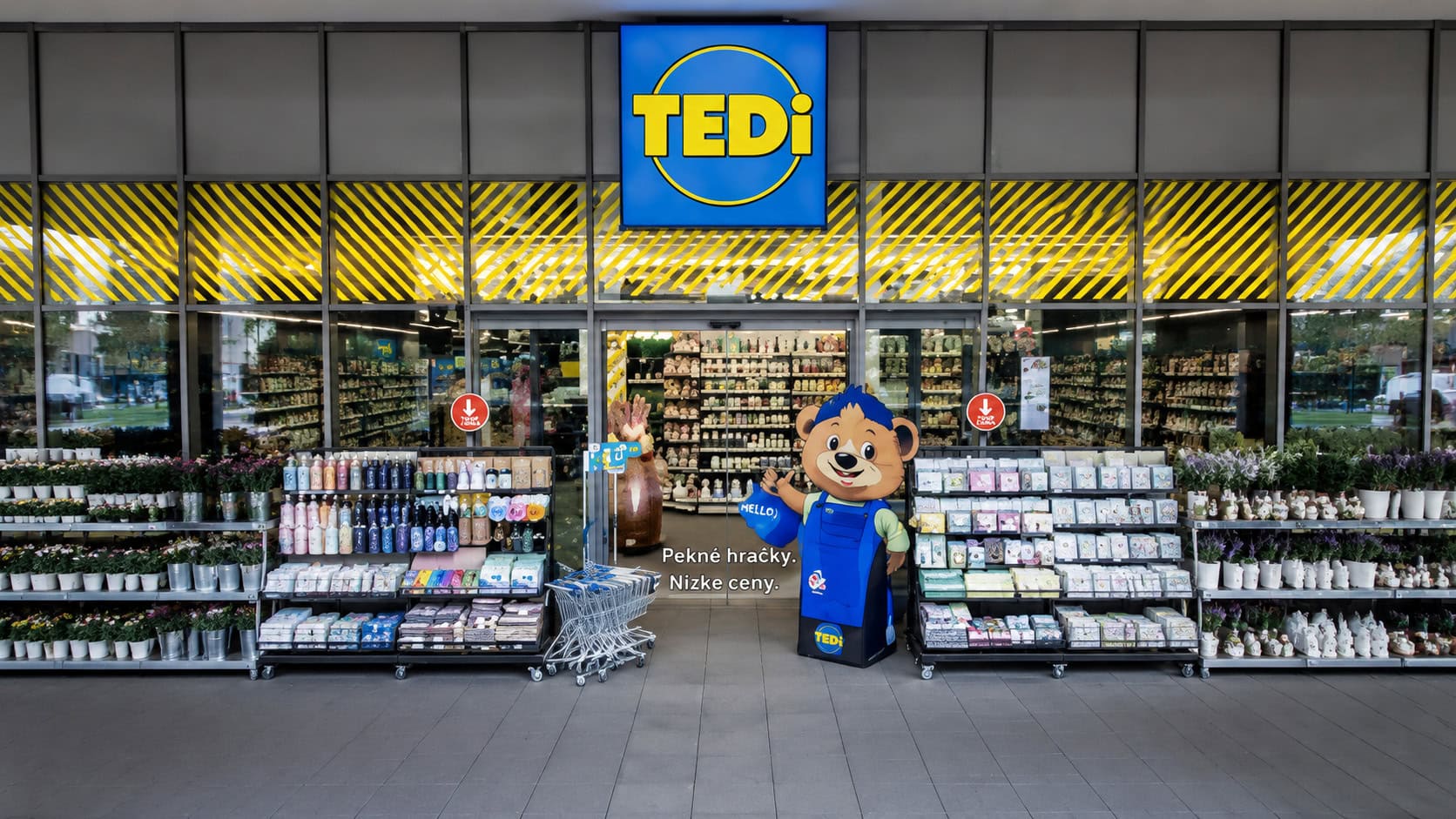 TEDi