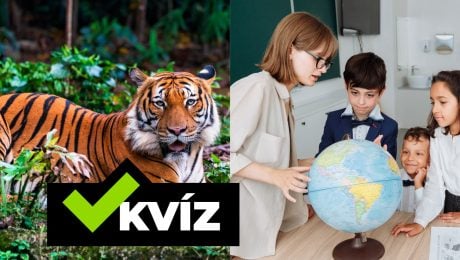 KVÍZ: Jednorožec, vlk
