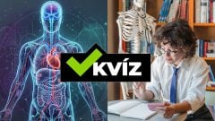 95 % Slovákov pohorí už na prvej otázke. Dokáž, že dokonale poznáš svoje telo (KVÍZ)
