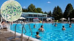 MAPA Fekálne baktérie a sinice: Hygienici varujú pred kúpaním v 7 slovenských jazerách, problémy má aj 61 bazénov