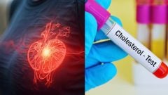 Revolúcia v liečbe cholesterolu: Vedci odhalili nový spôsob, ako prinútiť pečeň požierať nebezpečný LDL tuk