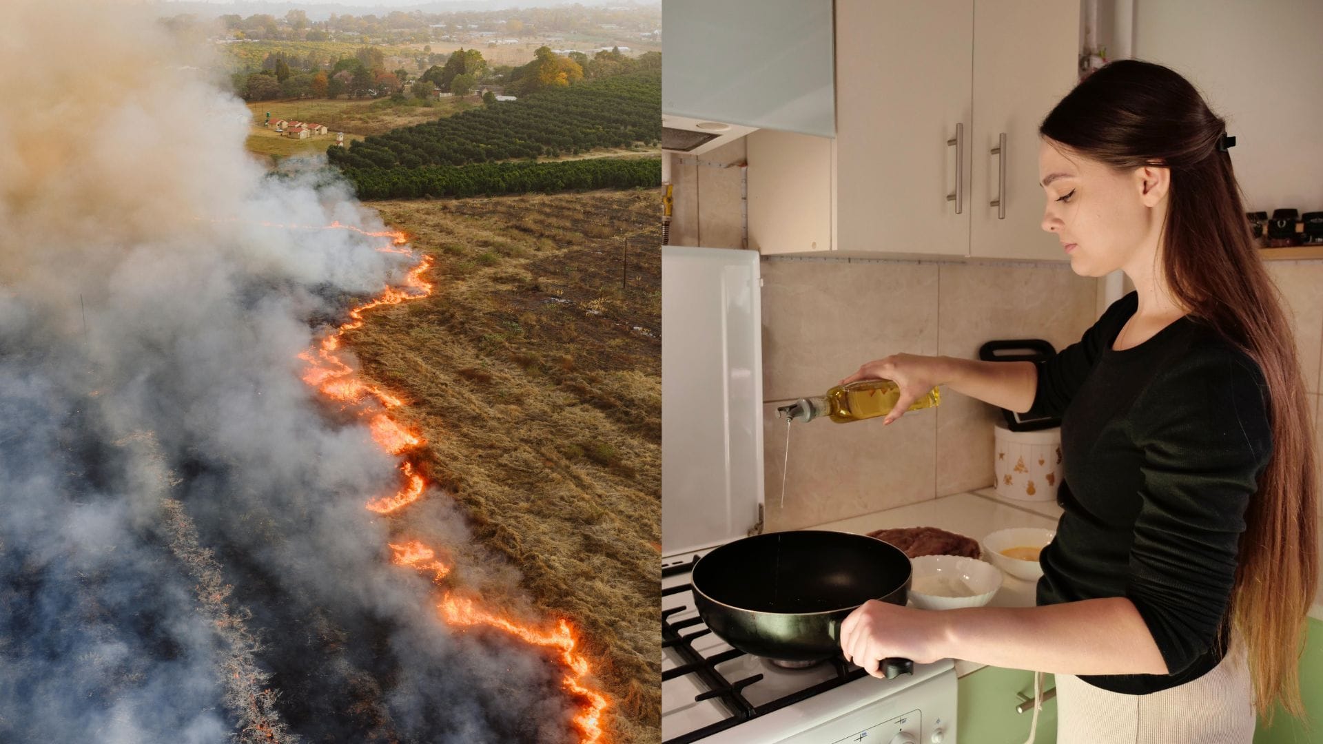 Horúčavy a požiare ničia olivové háje po celej Európe. Cena obľúbeného oleja opäť porastie